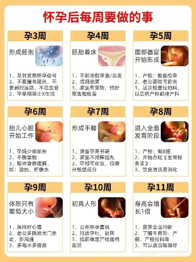 假孕小产攻略：深宫秘术全解析，助你轻松应对
