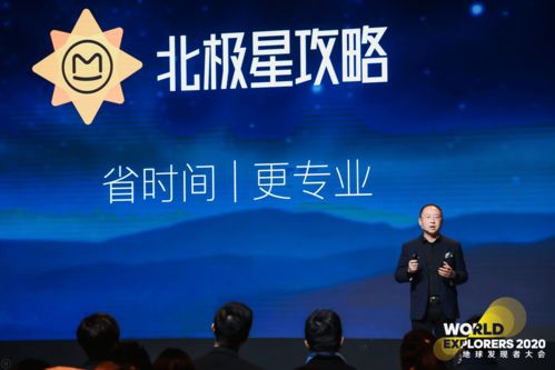 蚁族崛起统帅更换攻略：高效换帅新技巧揭秘