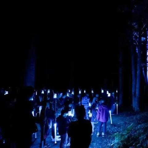 高效回血攻略：鹿如何快速恢复生命力技巧解析