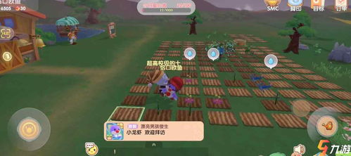 超能球攻略:摩尔庄园手游高效使用技巧解析 超能球攻略:摩尔庄园手游高效使用技巧解析