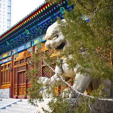 解锁光遇冒险秘境：轻松再来攻略揭秘