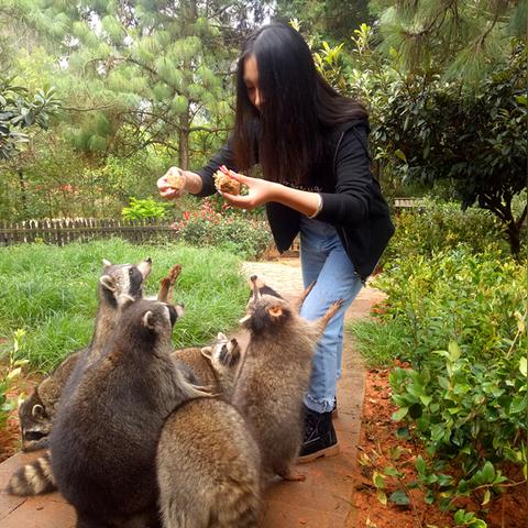 王老师水上乐园约会攻略：小浣熊百将传约会秘籍大公开
