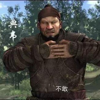 真三国无双霸许褚技能解析：深度揭秘绝世猛将属性秘籍