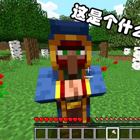 探索Minecraft巨型生物群系:揭秘超大生物群系生成奥秘 探索Minecraft巨型生物群系:揭秘超大生物群系生成奥秘