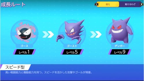 宝可梦集结敏捷王盘点:最强选择深度解析 宝可梦集结敏捷王盘点:最强选择深度解析