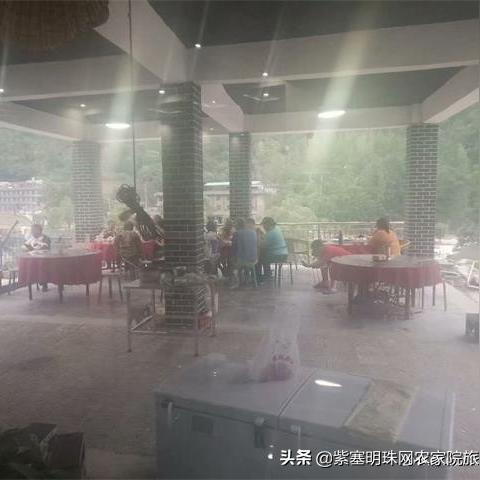 幻塔蒲公英蘑菇汤秘制攻略：轻松获取食材，美味尽享其中