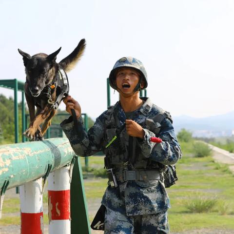 手游军犬解锁攻略：轻松掌握获取技巧