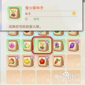 摩尔庄园手游台灯草种子获取攻略，轻松掌握新技巧