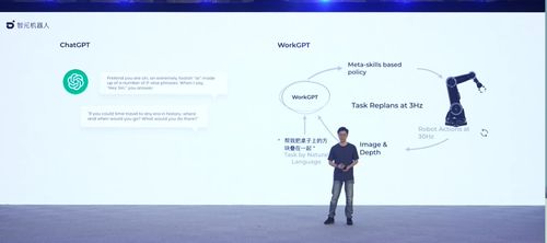 帕斯卡人形属性解析：技能立绘深度揭秘，价值解析新视角