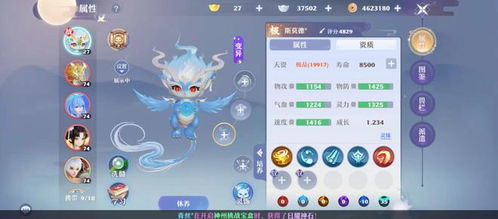 梦幻新诛仙龙将军高效洗髓法，攻略分享助你实力飞跃