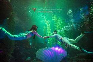 人鱼公主精灵海洋皮肤,揭秘独特魅力一览 人鱼公主精灵海洋皮肤,揭秘独特魅力一览