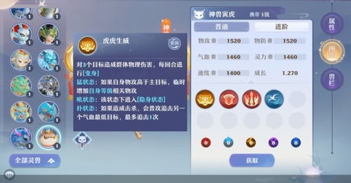 梦幻新诛仙虎将军高效加点技巧，解锁角色潜能攻略解析