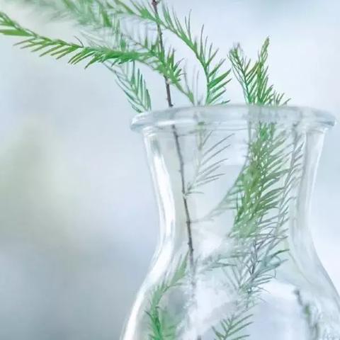 能量装置产蓝奥秘:解锁元气骑士全新价值 能量装置产蓝奥秘:解锁元气骑士全新价值