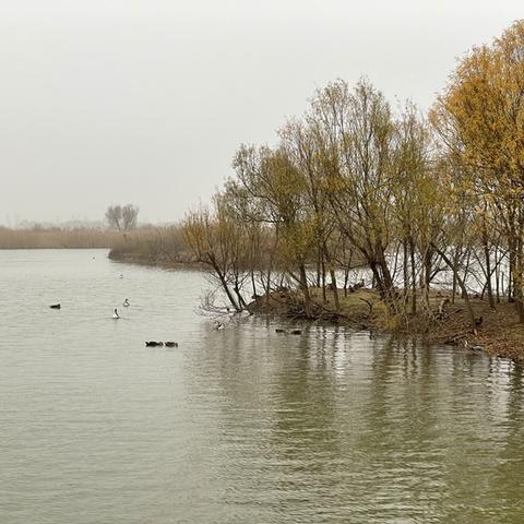 三角洲地图雷达神器，共享最新网页版入口解锁新体验