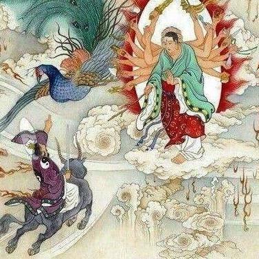 梦幻新诛仙孔雀姬高效攻略：轻松制胜秘籍大公开