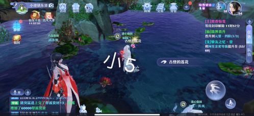 梦幻新诛仙探秘小池镇灵异之地，揭秘神秘探灵攻略！