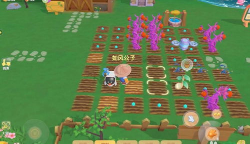 摩尔庄园手游玉米饲料攻略:轻松获取新技巧大揭秘 摩尔庄园手游玉米饲料攻略:轻松获取新技巧大揭秘