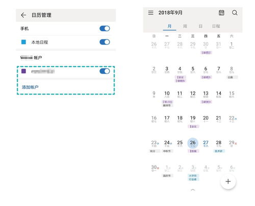 百鸟城快速导航攻略:揭秘高效进入技巧 百鸟城快速导航攻略:揭秘高效进入技巧