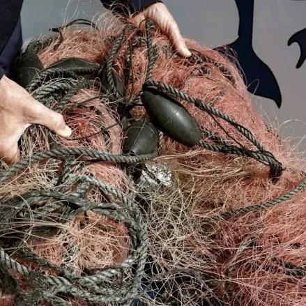 摩尔庄园手游龙虾钓点攻略:高效捕获新技巧揭秘 摩尔庄园手游龙虾钓点攻略:高效捕获新技巧揭秘