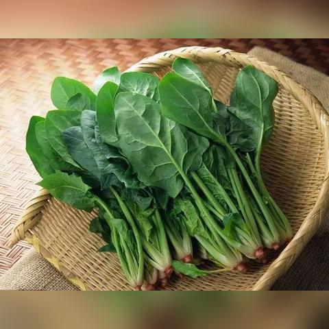 摩尔庄园手游琵琶鱼获取攻略，轻松上手新技巧分享