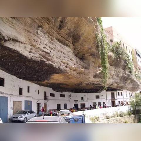 摩尔庄园农场快速升级攻略：解锁高效升级新技巧