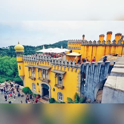 摩尔庄园手游番茄获取攻略，高效秘籍大公开