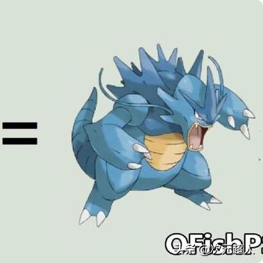 宝可梦探险卡咪龟技能优化攻略：打造最强战斗组合