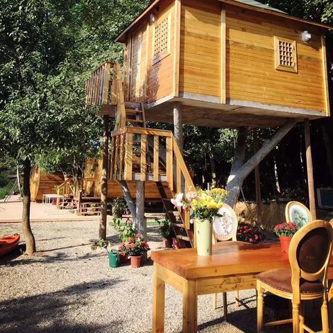 光遇新地图揭秘:小王子探险之旅全景速览 光遇新地图揭秘:小王子探险之旅全景速览