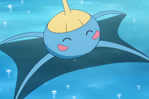宝可梦进化揭秘：小海狮成长之旅深度解析