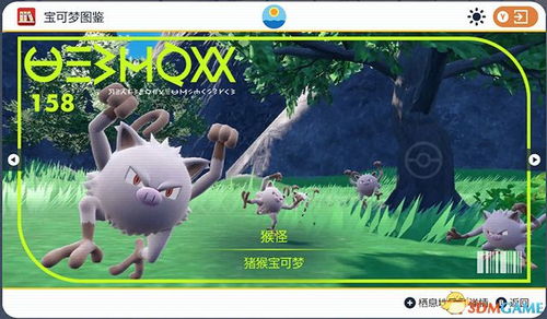 宝可梦猴怪进化全解析：高效升级攻略大揭秘