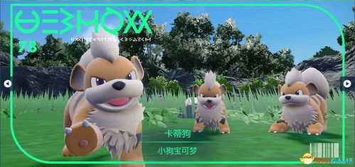 宝可梦卡蒂狗进化全攻略：快速掌握进化技巧