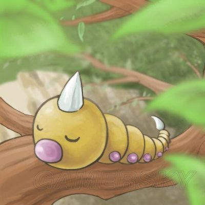 宝可梦大探险独角虫技能深度剖析：揭秘全新价值解析