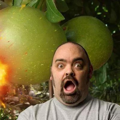 小动物之星手榴弹实战攻略：解锁全新战术技巧