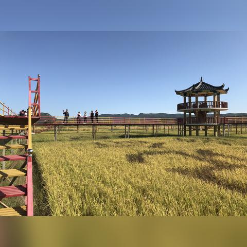 神龙边境，90%玩家都栽过的隐藏坑？老玩家私藏3个生存技巧，看完就能上大分！