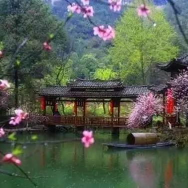 彼岸流觞究竟藏着多少秘密？老玩家都不知道的3个隐藏机制与实战攻略