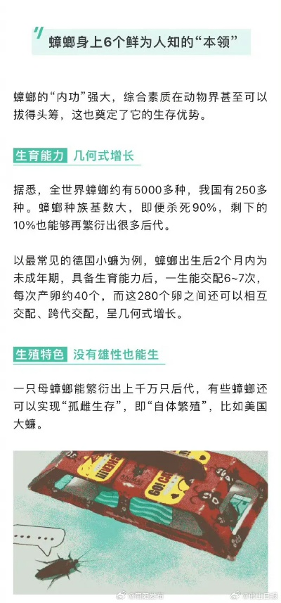 超级小强2025隐藏机制曝光？90%玩家不知道的高分破局法！