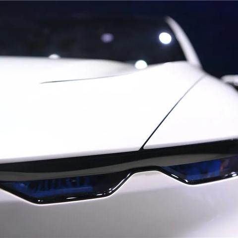 X幻想官网2025独家福利曝光？老玩家都在抢的隐藏入口你找到了吗？