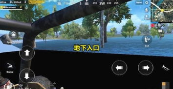 斯图尔特岛的彩虹桥隐藏机制曝光?老玩家实测3招解锁终极奖励! 斯图尔特岛的彩虹桥隐藏机制曝光?老玩家实测3招解锁终极奖励!