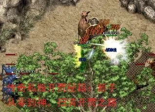 传奇序章2025，隐藏机制全曝光，3天冲全服前10的开荒秘籍你get了吗？