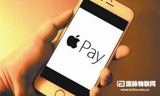 pay.sdo.com真的安全吗？老玩家揭秘3个充值避坑技巧+隐藏福利！