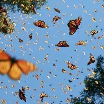 游戏里真的有绝对safe的玩法？3个冷门安全策略让你避开90%坑