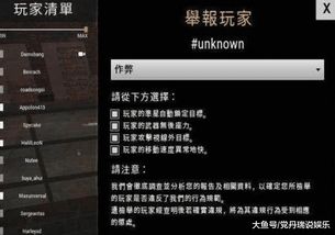 新英雄年代外挂2025现状，90%玩家不知道的防封技巧&官方检测升级内幕