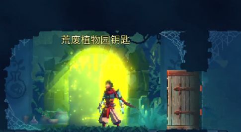 重生细胞植物园快速通关攻略：解锁钥匙必备技巧揭秘