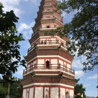 还在乱找永恒之塔官网下载？2025独家安全渠道+新手启动秘籍