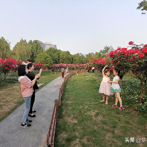 泡泡堂兵工厂隐藏神器怎么拿?2025最新爆率实测+冷门道具攻略 泡泡堂兵工厂隐藏神器怎么拿?2025最新爆率实测+冷门道具攻略