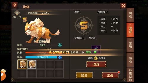 风云OL2025首曝,隐藏门派秘籍真的存在?老玩家私藏跨服战场必赢套路 风云OL2025首曝,隐藏门派秘籍真的存在?老玩家私藏跨服战场必赢套路