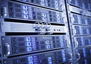 2025私服服务器下载怎么选？独家实测3款安全稳定资源（附极速链接）