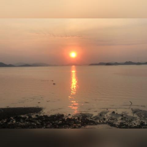 晨星岛隐藏玩法全揭秘,这些绝版奖励90%玩家都错过? 晨星岛隐藏玩法全揭秘,这些绝版奖励90%玩家都错过?