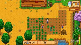 彩虹岛官方下载踩坑？2026最新无插件渠道+开局必拿1000钻石攻略