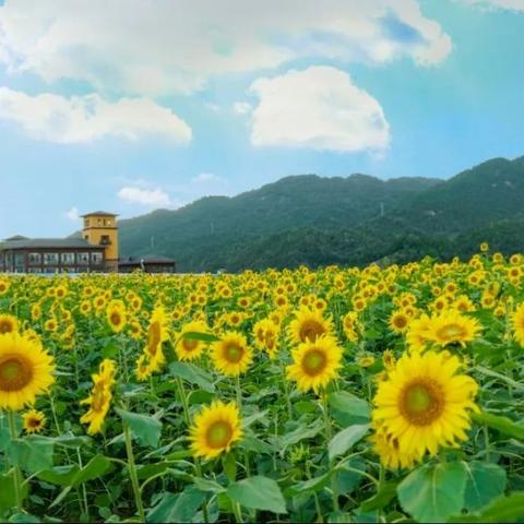 盛大主页藏着多少被遗忘的神作？老玩家必看的宝藏入口解析